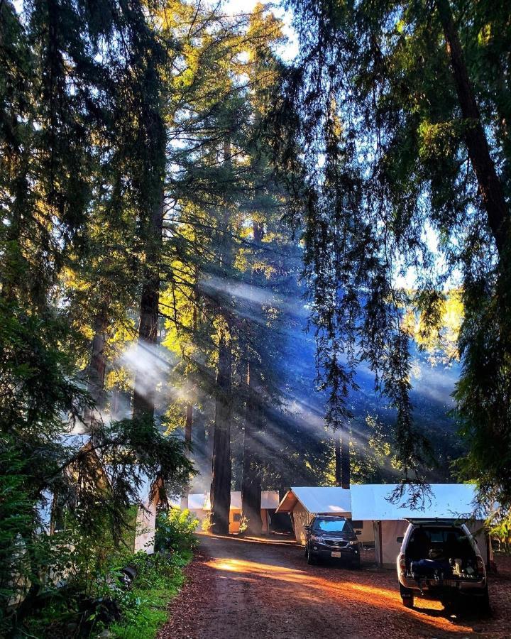 Fernwood Resort Μπιγκ Σερ Εξωτερικό φωτογραφία