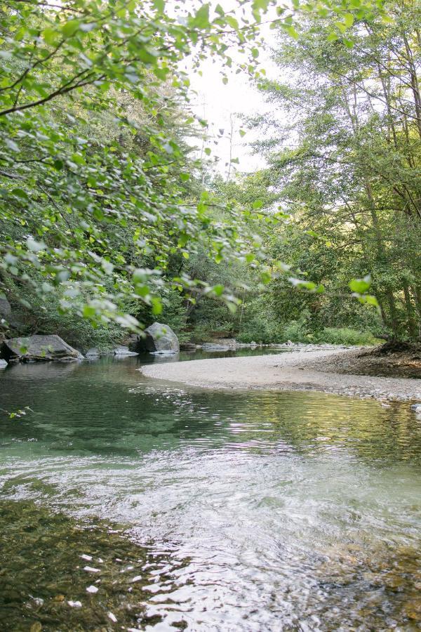 Fernwood Resort Μπιγκ Σερ Εξωτερικό φωτογραφία